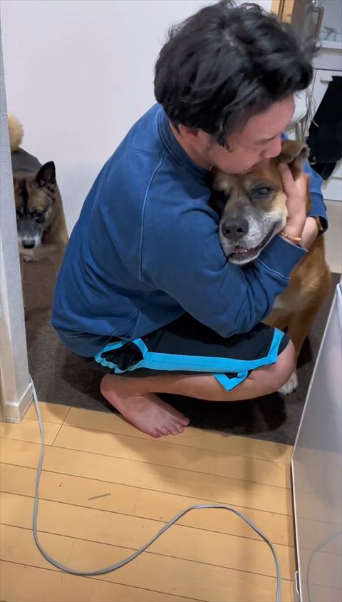 抱きしめられて笑顔のワンコ