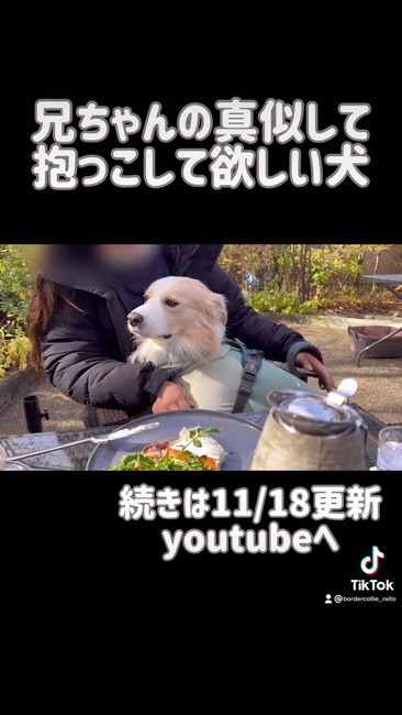 抱っこされて満足