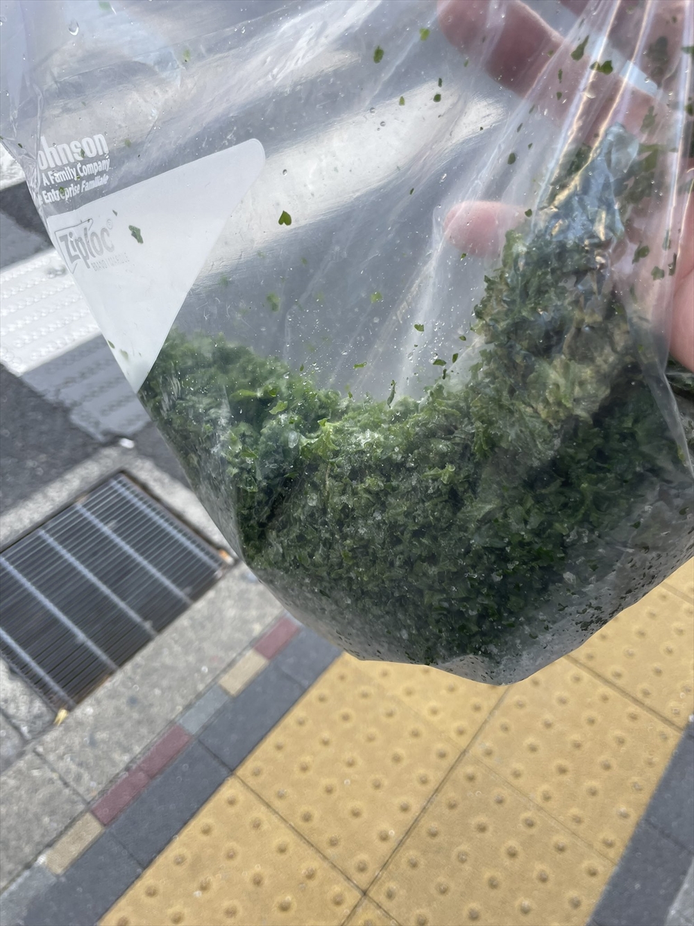 「パセリ持ってたら職質された」　不憫すぎるツイートに「何に勘違いされたんだろ」「自分はパン粉で職質された」