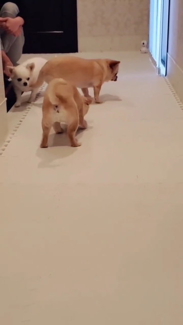 食いつくされた