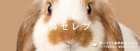 鼻セレブうさぎパッケージ
