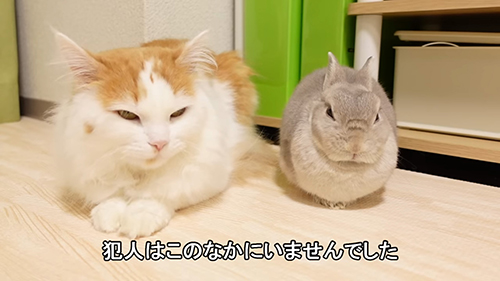 £たかこ£様お問い合わせ　和風　ネコ柄　猫ちゃん　ウサギさん　うさぎ柄 たかこ£様お問い合わせ 和風 ネコ柄 猫ちゃん ウサギさん うさぎ柄