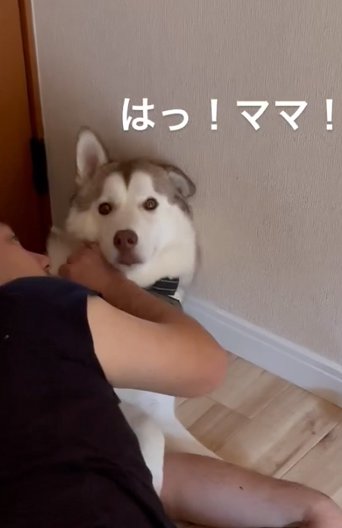 やけに静かだと思ったら