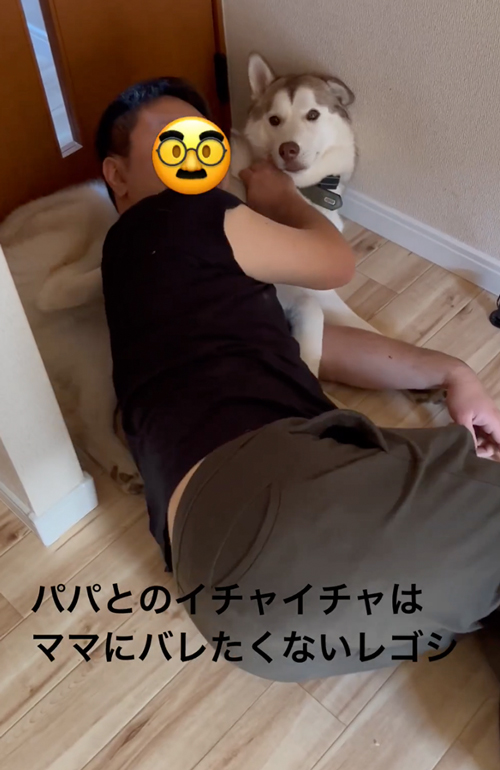 やけに静かだと思ったら