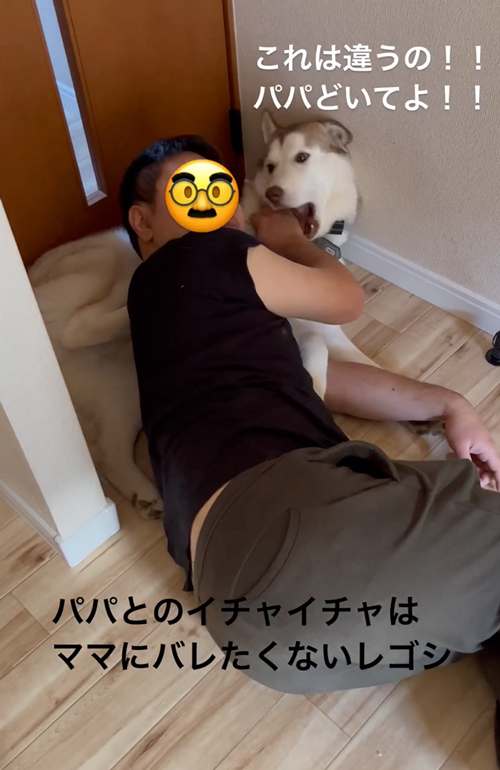 やけに静かだと思ったら