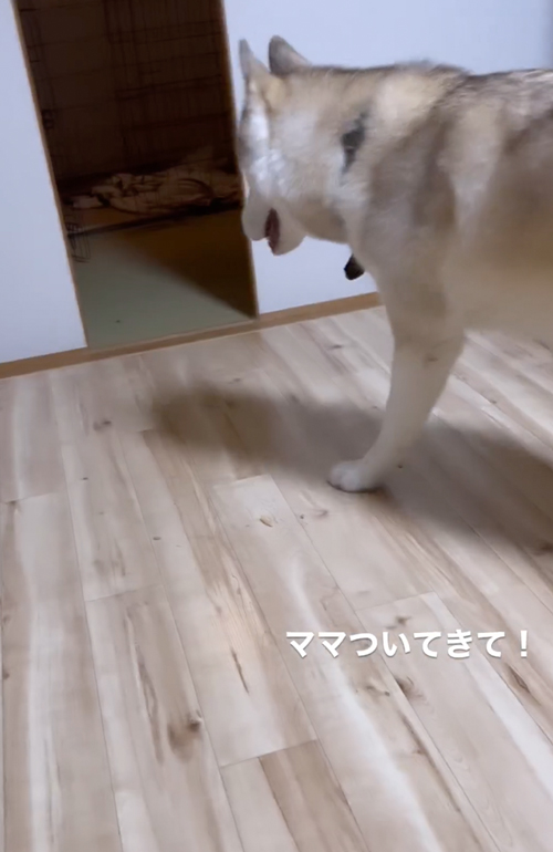 ちっちできたの