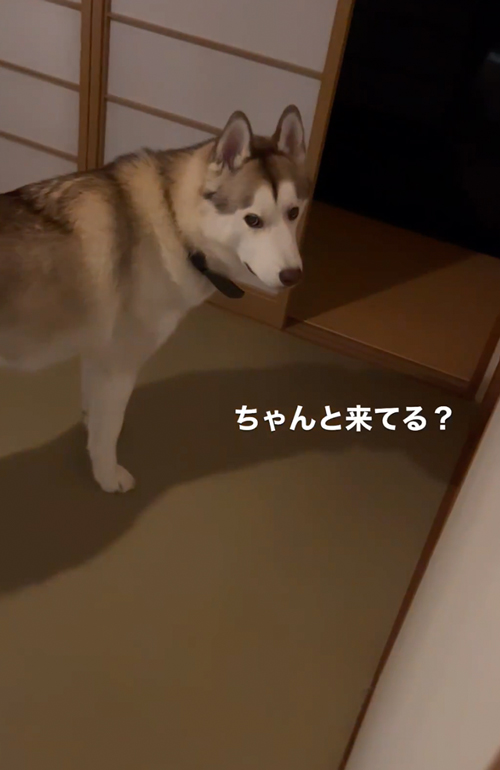 ちっちできたの