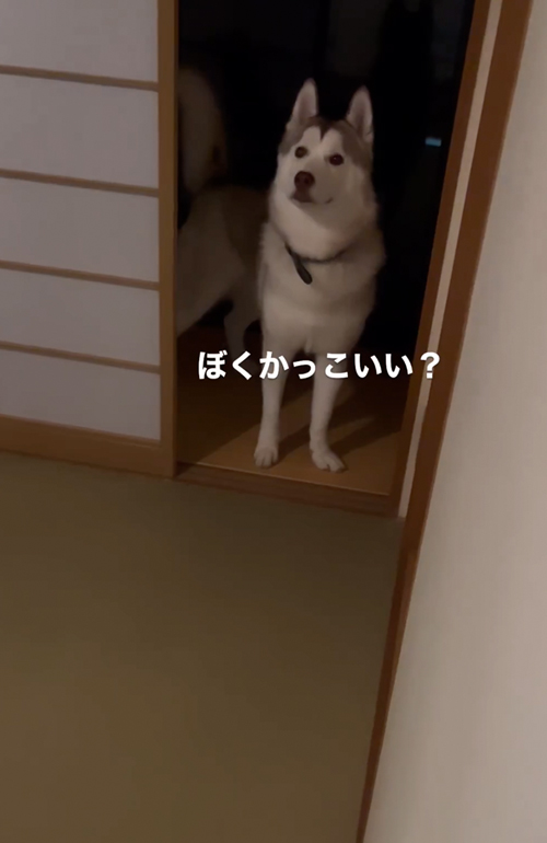 ちっちできたの