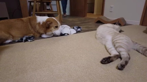 ほどよい距離感