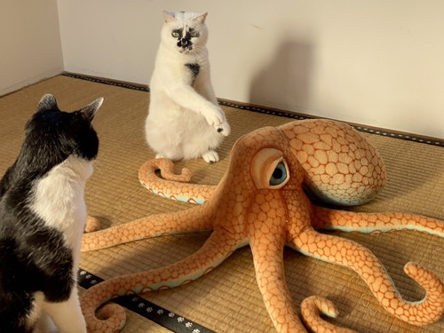 ミチルちゃんと一太郎くん