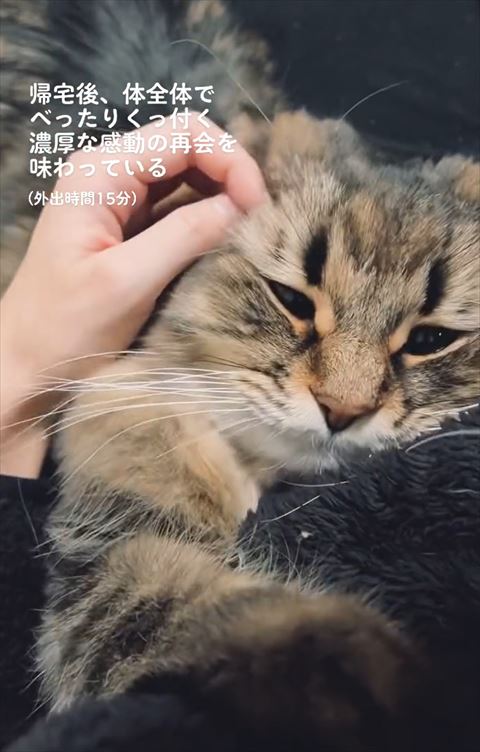 目の横なでられて少し目あけてる