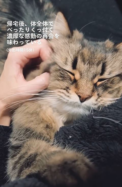 目の横なでられて目つむる