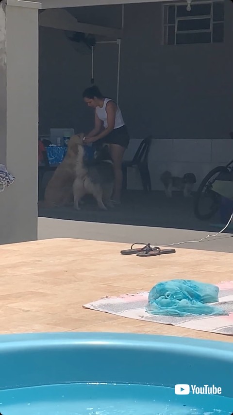 ビールを受け取る犬