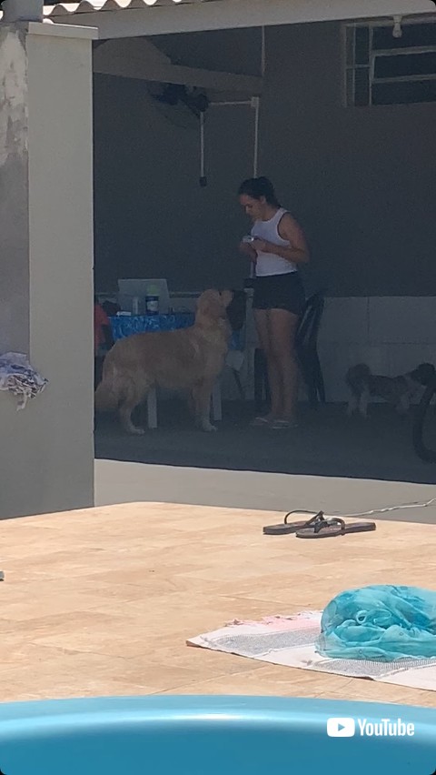 ビールを渡される直前の犬