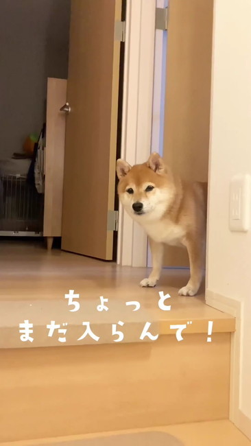 ちょっとまだ入らんで