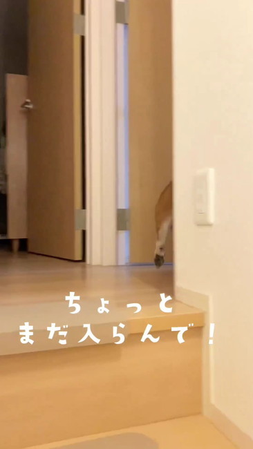 どっか行っちゃう