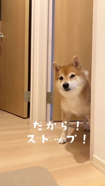 ストップ