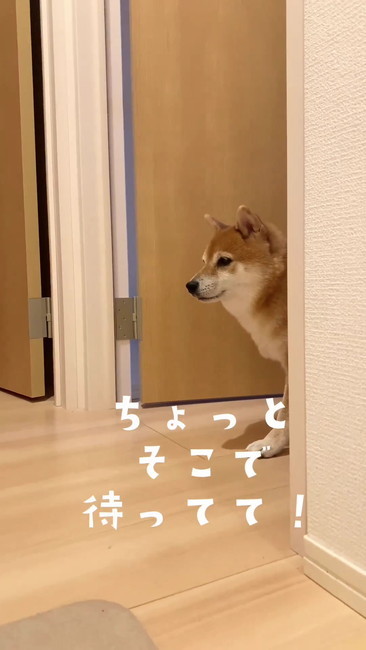 待ってて