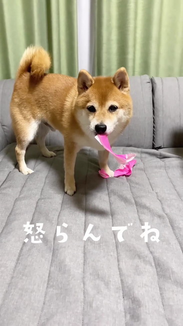 怒らんでね