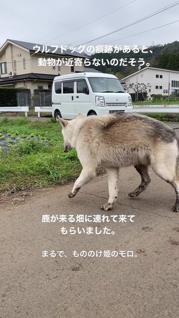 今度はこっちへ