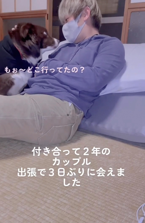 犬