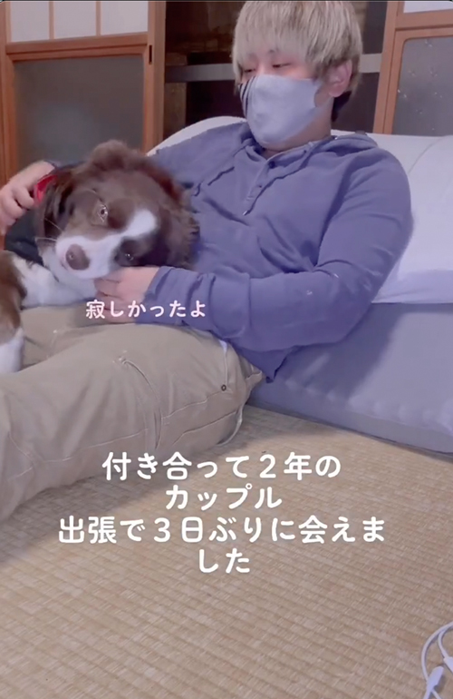 飼い主とイチャイチャするワンコ