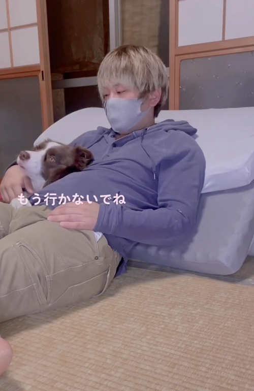 飼い主とイチャイチャするワンコ