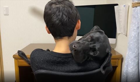 抱っこされてるワンコ目を細めてる