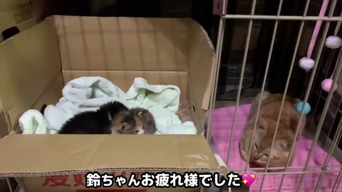 お疲れさまでした