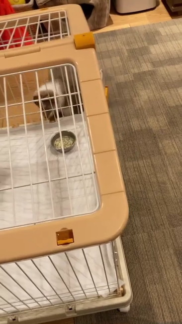 やっぱりこっちかな