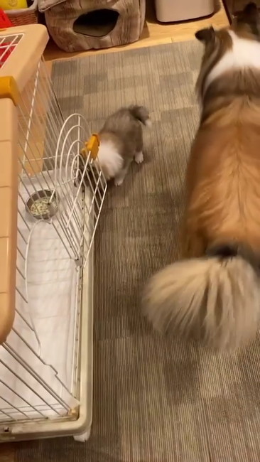 そっちじゃないよ