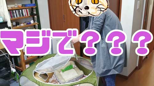 ペットロス妻
