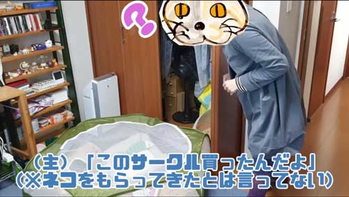 ペットサークルをあける妻