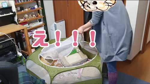 びっくりする妻