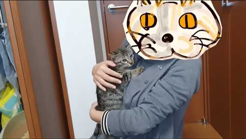 始めた抱っこする妻