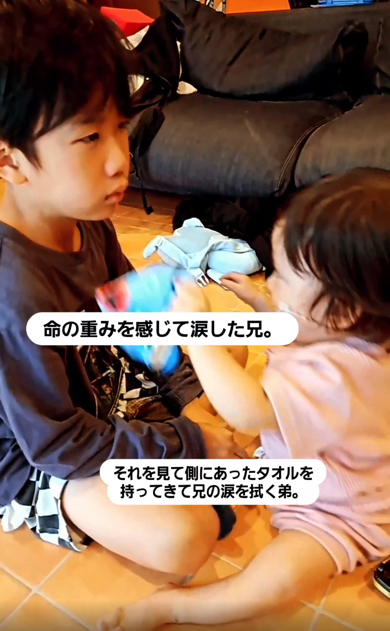 命の重みを知って泣く兄の涙を拭く弟