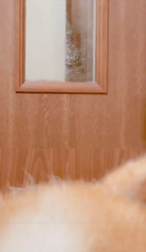 誰もいない小窓