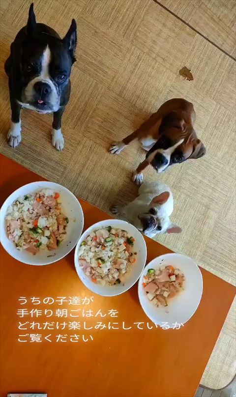 朝ごはん楽しみテロップ