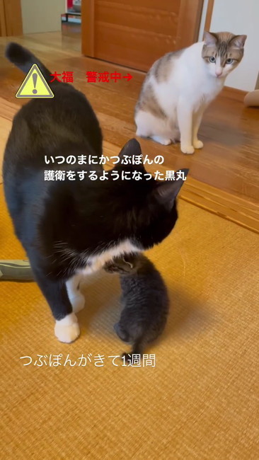 ちょっかい出すなよ