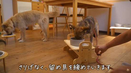 ご飯中に留め具を