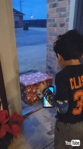 「Kid Reacts to Getting Surprised With Puppy in Box on Doorstep - 1387235-1」