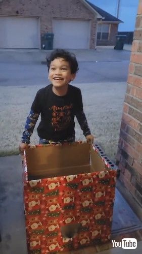 「Kid Reacts to Getting Surprised With Puppy in Box on Doorstep - 1387235-1」