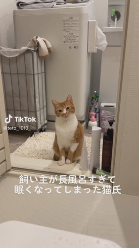 「飼い主が長風呂すぎて眠くなってしまった猫氏」