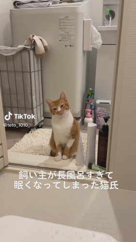「飼い主が長風呂すぎて眠くなってしまった猫氏」