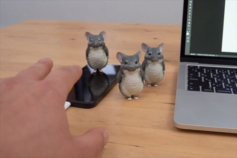 パソコン横チンチラ