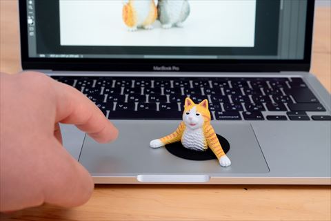 パソコンから猫召喚