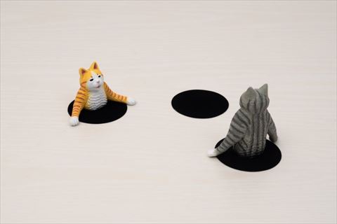 召喚されて向かい合う猫