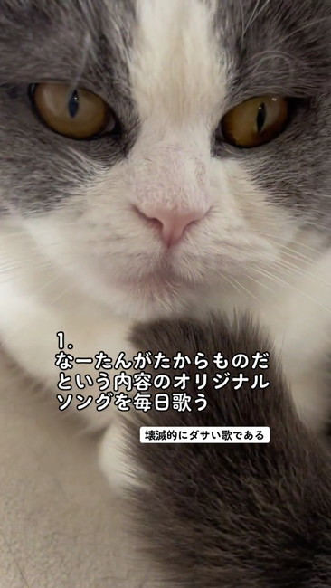 オリジナルソング