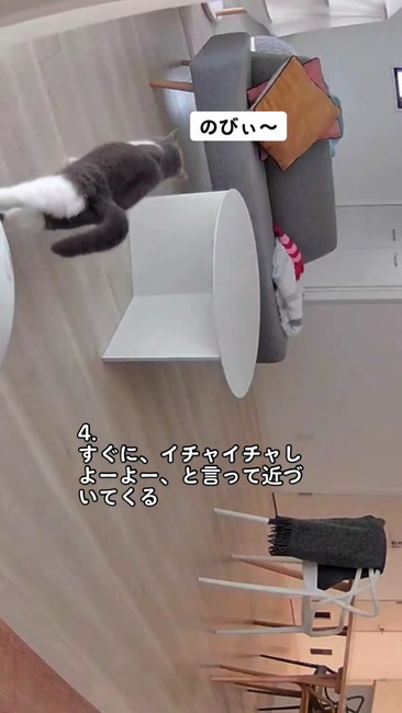 イチャイチャしよう