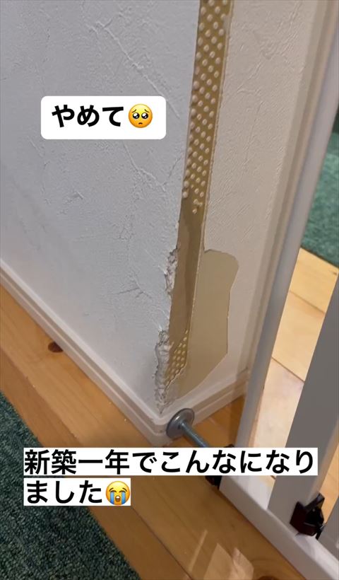 中がベージュの壁